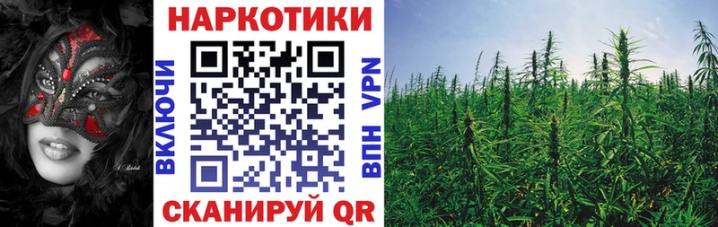 Где можно купить наркотики Суздаль ГАШ  Конопля  Меф 