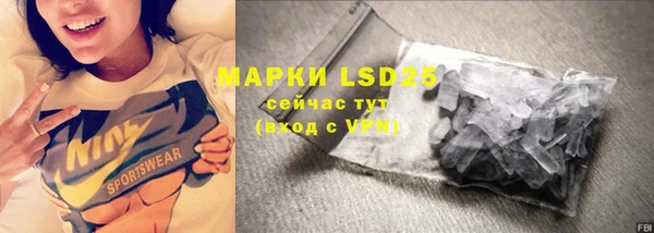 молекула духа Костерёво