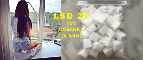 PSILOCYBIN Козловка