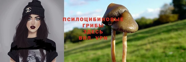 мет Корсаков
