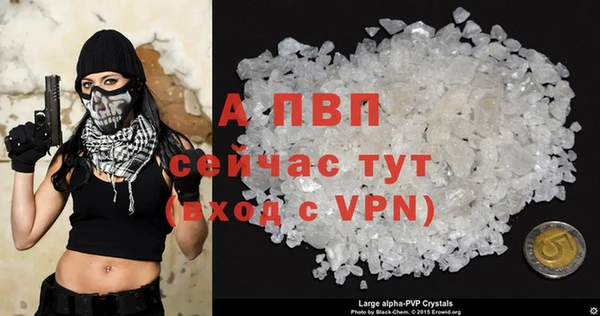 молекула духа Костерёво