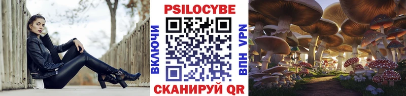 цены Суздаль Псилоцибиновые грибы ЛСД