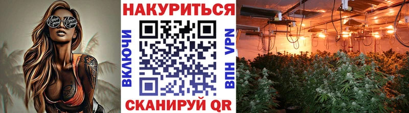 Марихуана White Widow  MEGA ссылки  Суздаль 